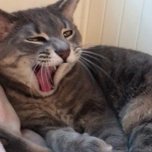 Meet your Posher, Mackenzie